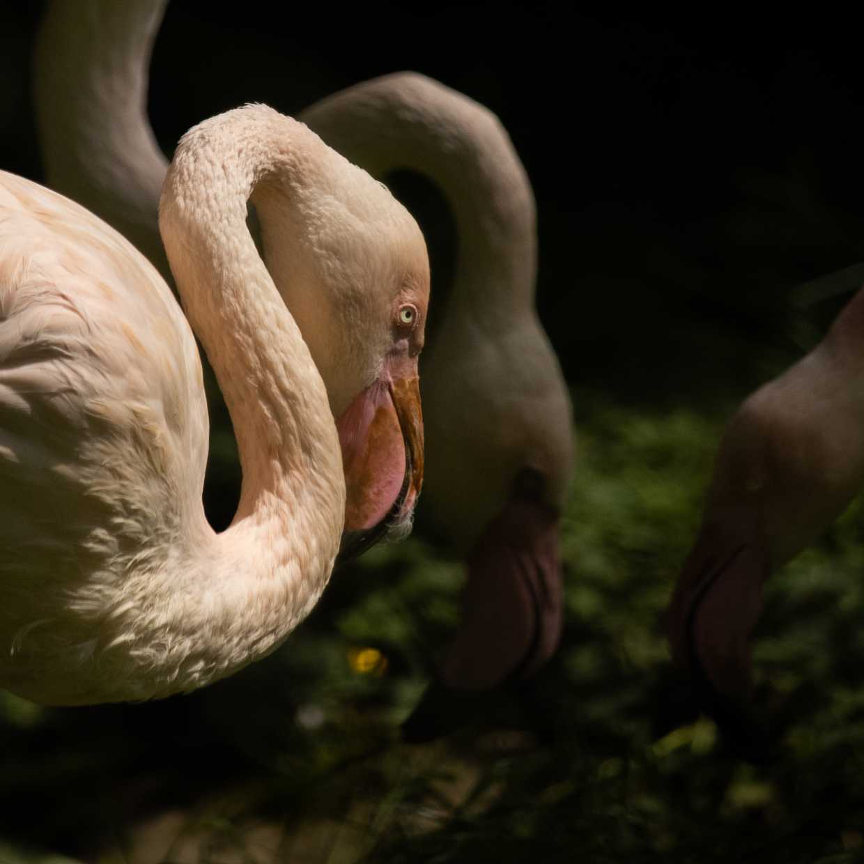 2023 Photo 1